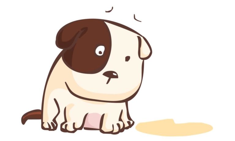 ᐅ Inkontinenz bei älteren Hunden › alteHunde.de
