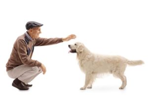 alter Mann mit altem Hund