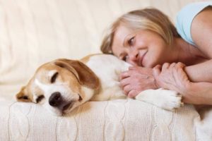 Frau und alter Hund auf einem Bett