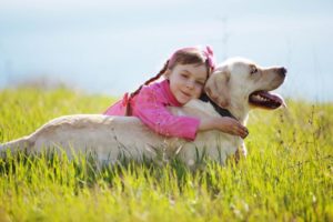 Alter Hund mit Kind