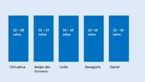 Grafik Hunderassen die lange Leben