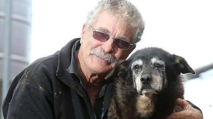 Maggie der älteste Hund der Welt