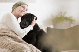 Hund mit Krebs
