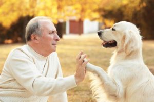 alter Mann mit altem Hund