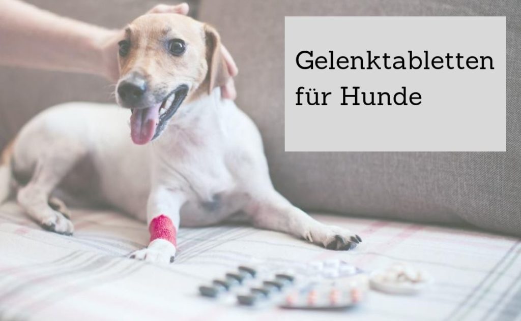 Gelenktabletten für Hunde