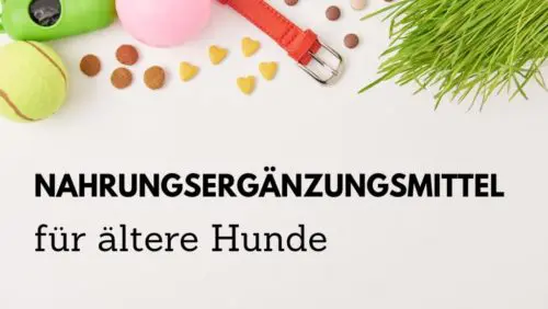 Nahrungsergänzungsmittel für ältere Hunde