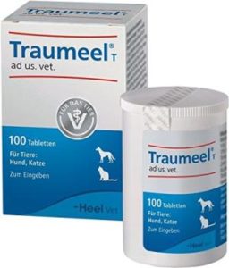 Traumeel Tabletten