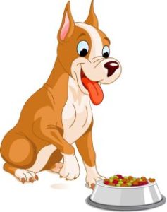 Hundefutter für Senioren Hunde