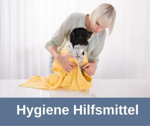 Hygiene Hilfsmittel alte Hunde