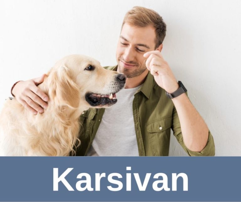 ᐅ Nahrungsergänzungsmittel für Senior Hunde › alteHunde.de