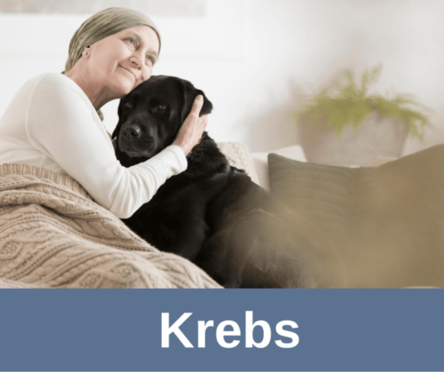 Krebs bei Hunden