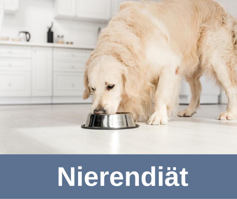 Nierendiät