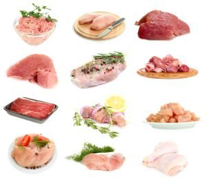 Tierisches Protein