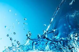 Wasser