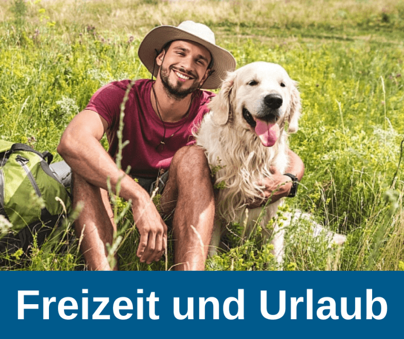 Freizeit und Urlaub mit alten Hunden