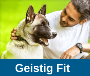 Hunde – Geistig Fit im Alter