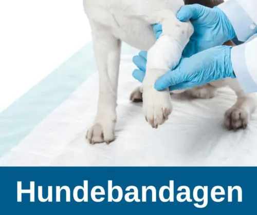 Hundebandagen