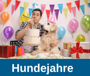 Hundejahre