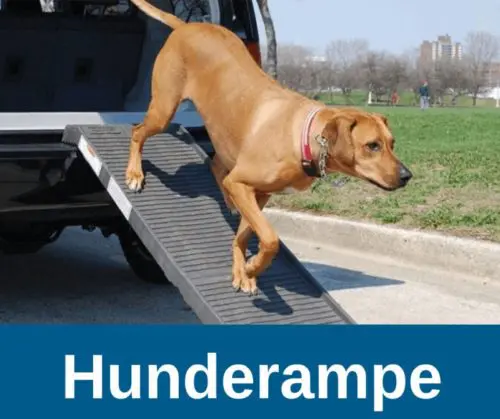 Hunderampen