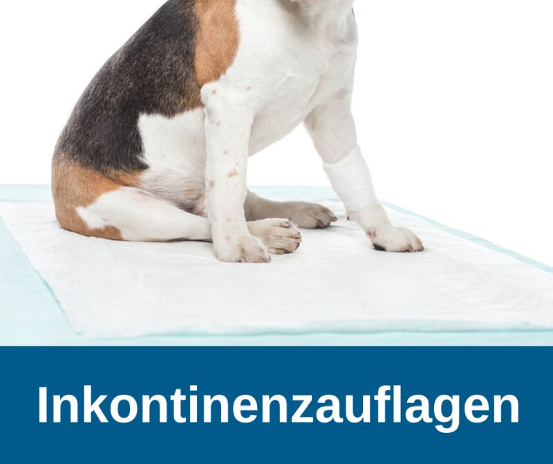 Inkontinenzauflagen für Hunde