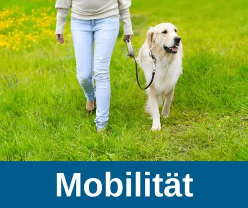 Mobilität für alte Hunde
