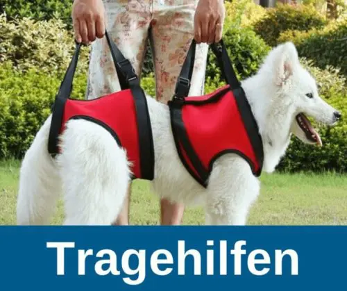 Tragehilfen für Hunde