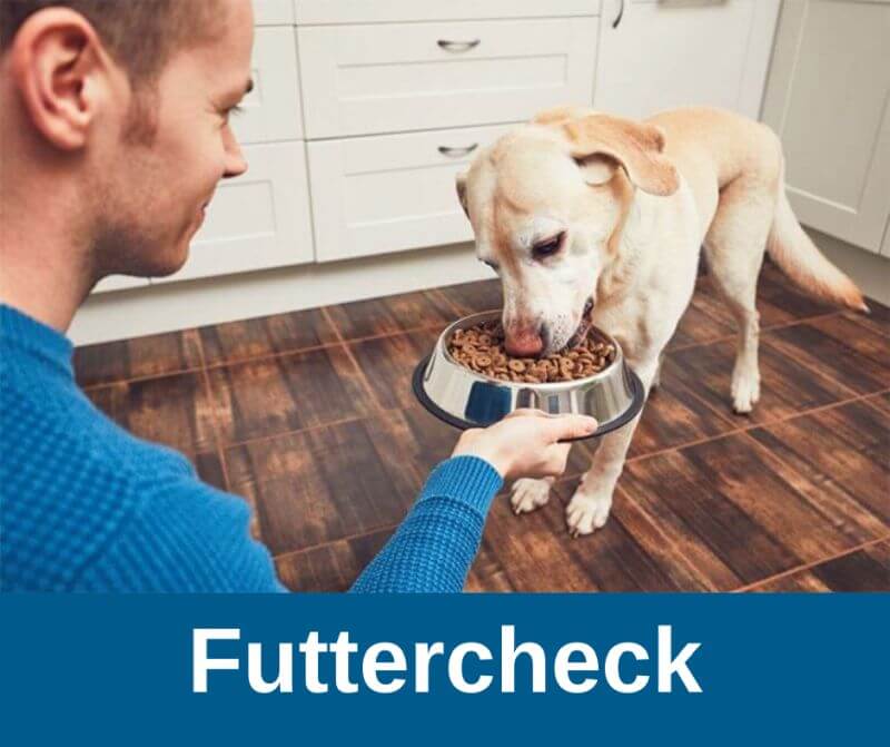 Futtercheck › alteHunde.de