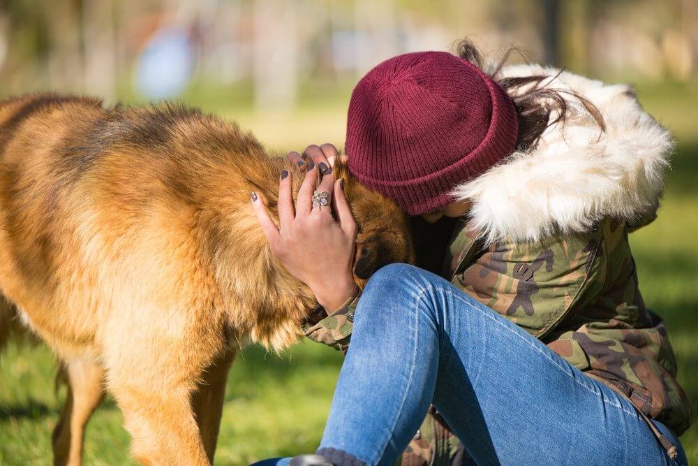Abschied vom Hund
