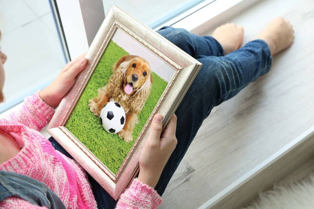 Kind trauert um seinen Hund