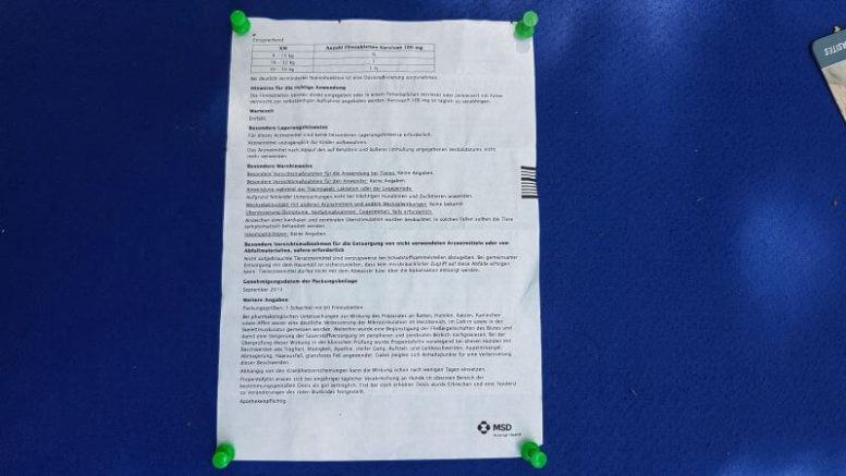 ᐅ Karsivan bei Alterserscheinungen des Hundes › alteHunde.de