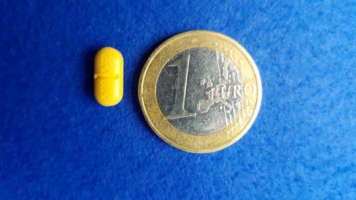 ᐅ Karsivan bei Alterserscheinungen des Hundes › alteHunde.de